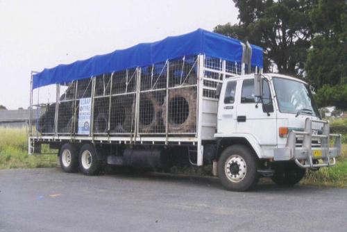TRANSPORT BUSINESS WITH 2 TRUCKS - REGULAR RUNS AND CLIENTELE