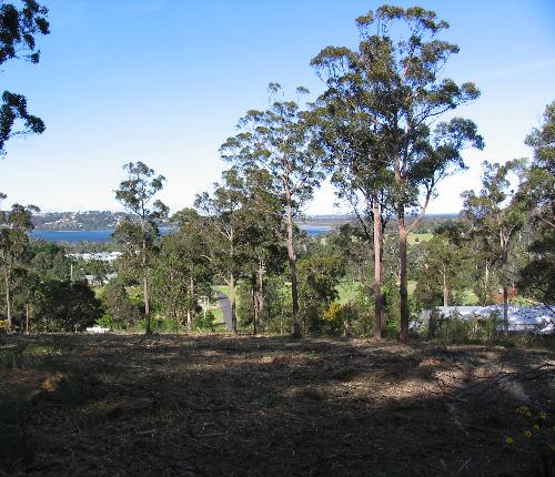 LIFESTYLE BLOCK WITH STUNNING VIEWS!