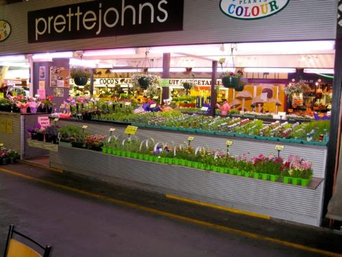 MARKET STALL FOR SALE