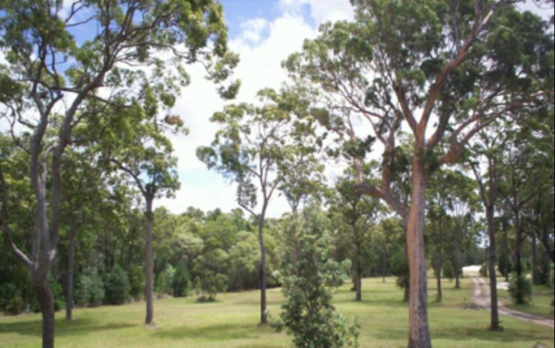 QUARRY - SAND/SOIL / CATTLE PRODUCTION (AQUACULTURE/TOURISM OPPORTUNITY)