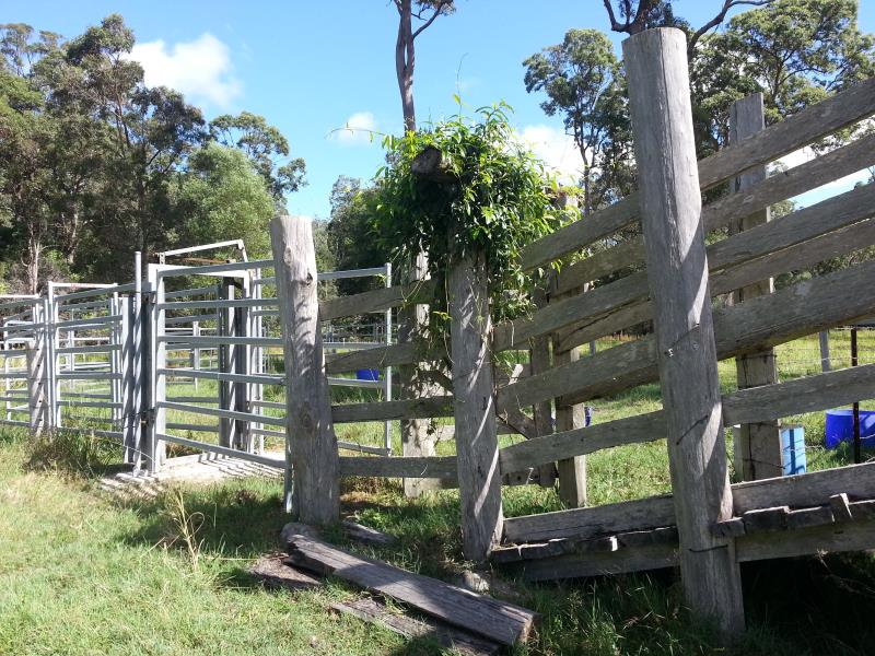 QUARRY - SAND/SOIL / CATTLE PRODUCTION (AQUACULTURE/TOURISM OPPORTUNITY)