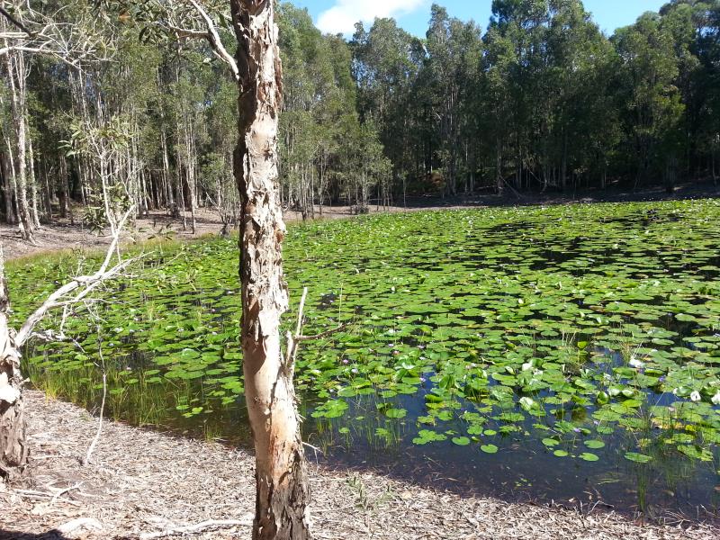 QUARRY - SAND/SOIL / CATTLE PRODUCTION (AQUACULTURE/TOURISM OPPORTUNITY)