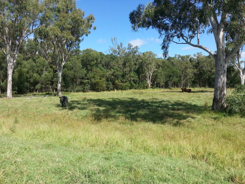 QUARRY - SAND/SOIL / CATTLE PRODUCTION (AQUACULTURE/TOURISM OPPORTUNITY)