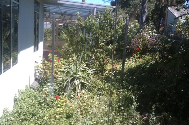 modest rent for the right person: 13almastdotcom