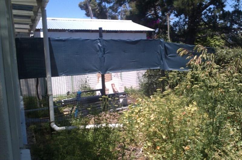 modest rent for the right person: 13almastdotcom