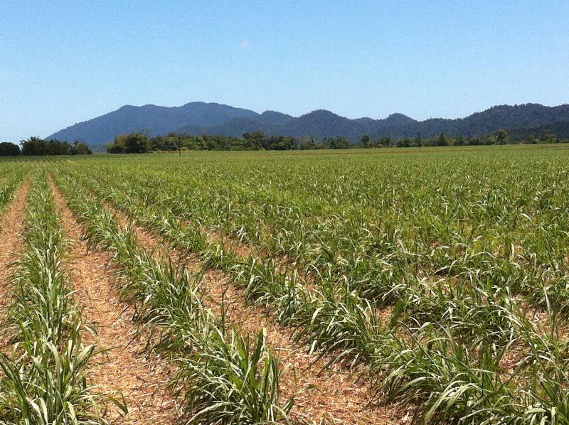 Miriwinni QLD Cropping for Sale