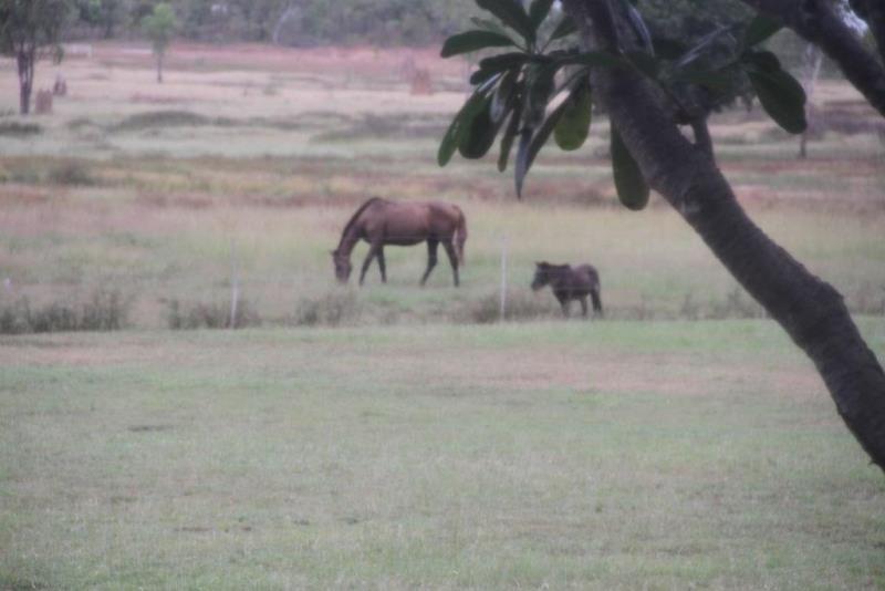 Adelaide River NT Other for Sale