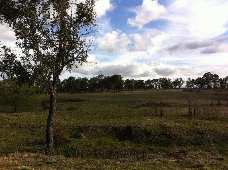 Lot 473/473 Barleyfields Rd Uralla NSW 2358 Land for Sold
