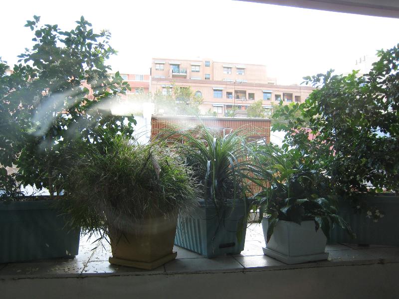 Pyrmont Modern 1 Bed Apartment Resort Style Building