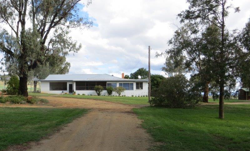 GOLDEN GAIT – MIXED FARMING/HORSE STUD, MULTI-PURPOSE LAND (863AC) + 2 DWELLINGS