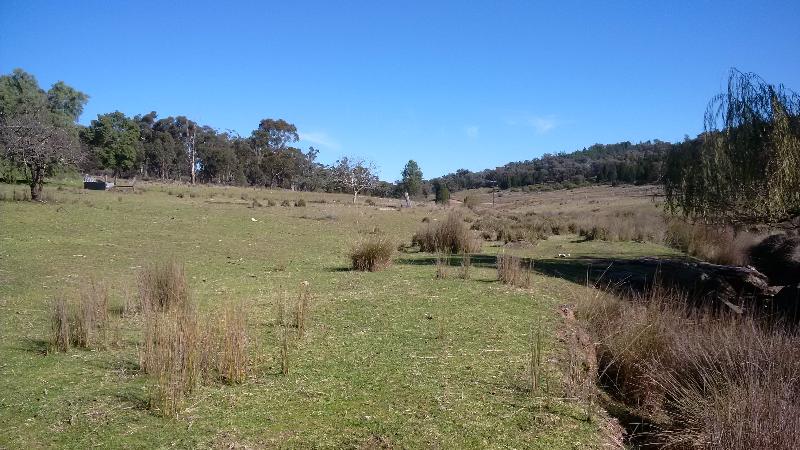 1517 ARCES IN 7 LOTS, GREAT WEEKENDER, HUNTING AND COULD RUN LIVESTOCK