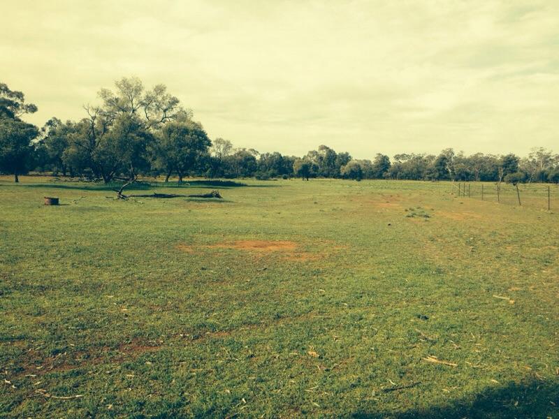 5000acre Hunting Recreation Starter Block Abundant Wildlife near Cobar