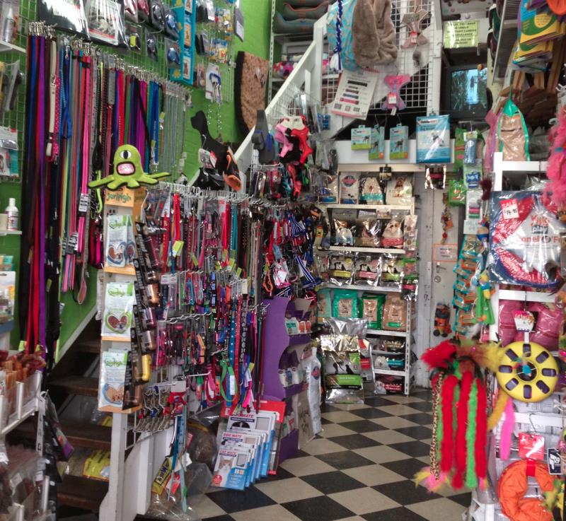 Premium Pet Supplies & Grooming Business in Excellent Location!