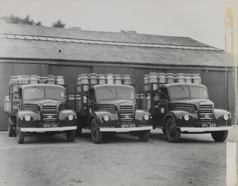 Large Milk & Food distribution Business.