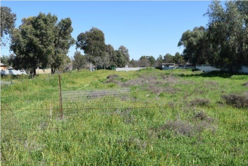 lot 1/west stree Trundle Trundle NSW 2875 Land for Sold