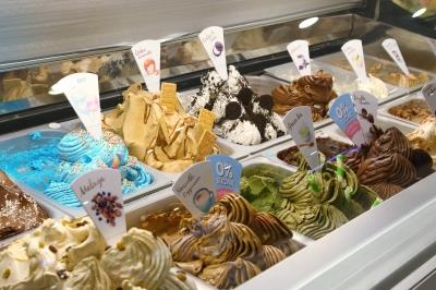 Ice Cream manufacturer and retail shop for sale.