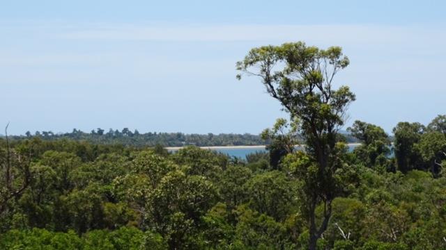 Under contract - Finance pending - Privacy, Position, Paradise with 360 degree rainforest, beach and ocean views.