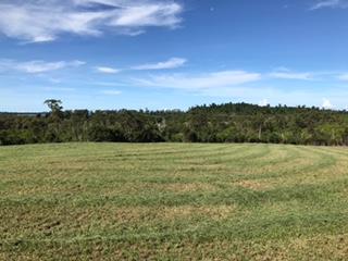 Under contract - Finance pending - Privacy, Position, Paradise with 360 degree rainforest, beach and ocean views.