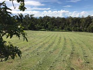 Under contract - Finance pending - Privacy, Position, Paradise with 360 degree rainforest, beach and ocean views.