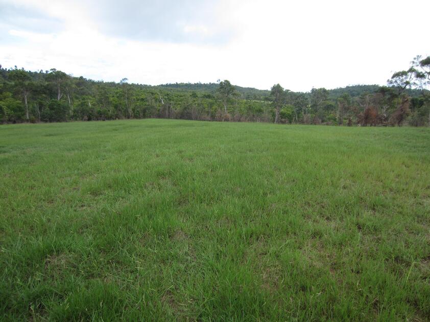 Under contract - Finance pending - Privacy, Position, Paradise with 360 degree rainforest, beach and ocean views.