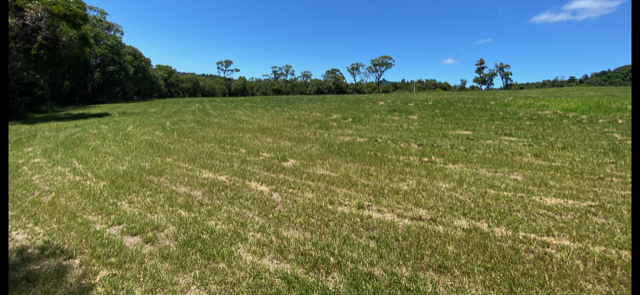 Under contract - Finance pending - Privacy, Position, Paradise with 360 degree rainforest, beach and ocean views.