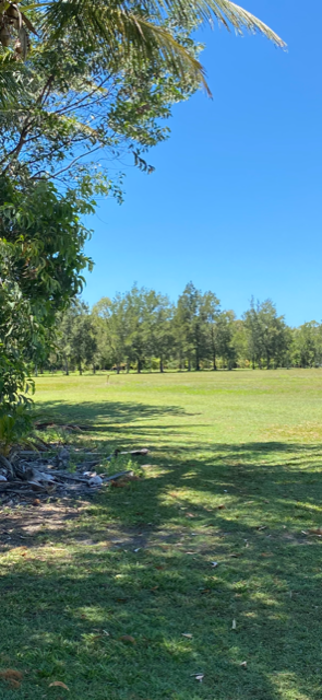 Under contract - Finance pending - Privacy, Position, Paradise with 360 degree rainforest, beach and ocean views.