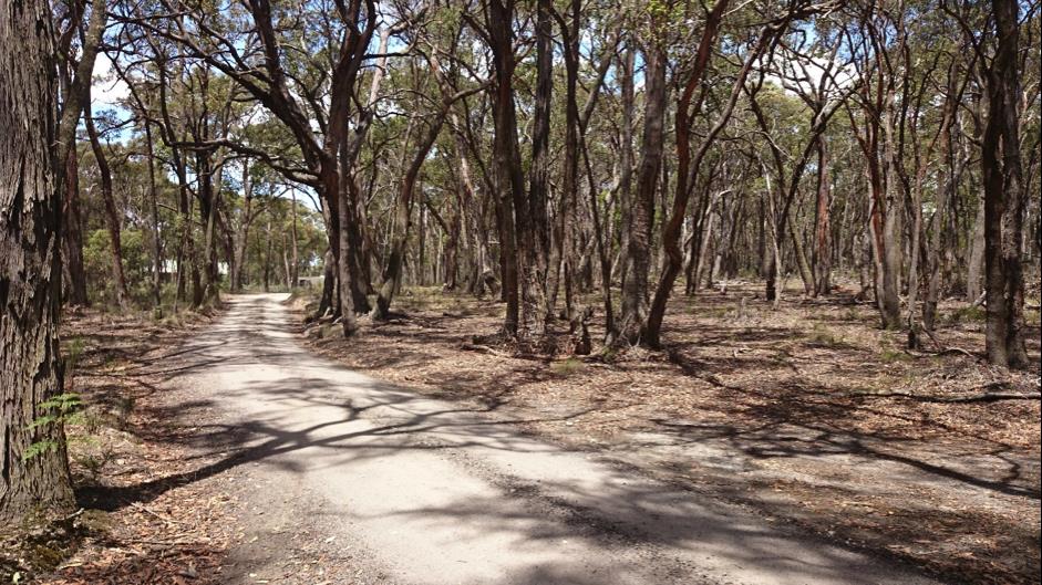 13 Rowlers Road Snake Valley VIC 3351 Other for Sold