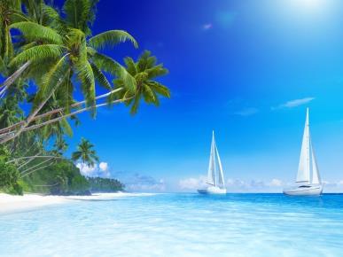 Established, profitable travel agency of 26 years (Morton Shire). Huge Growth!