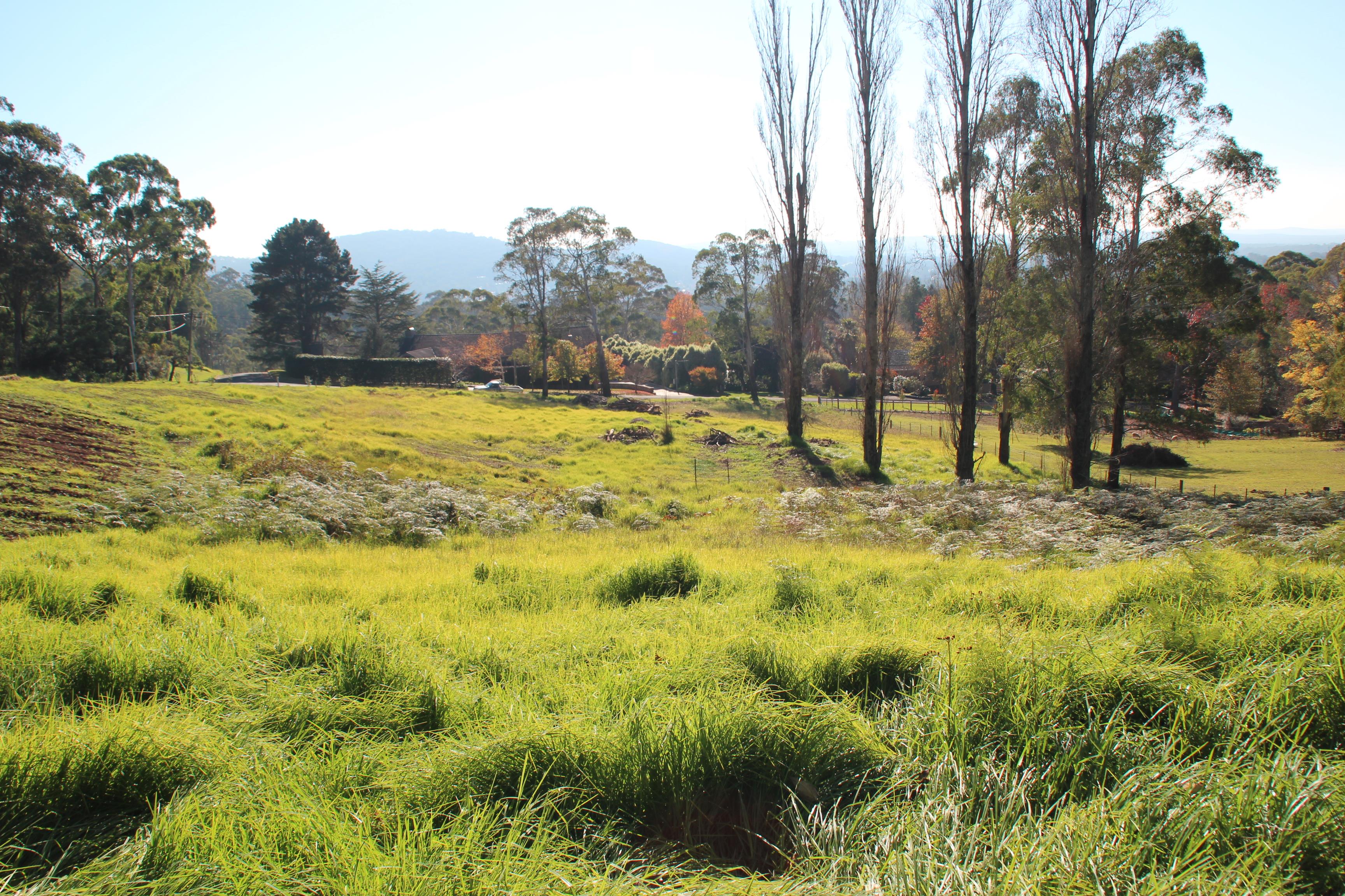 7 Acacia Street Mittagong NSW 2575 Land for Sold