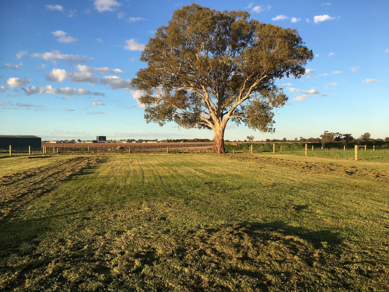 Lot 71/49 Dr Moama NSW 2731 Land for Sold