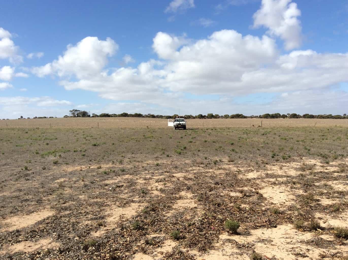 112 Meeinderry Dr Perlubie SA 5680 Other for Sale