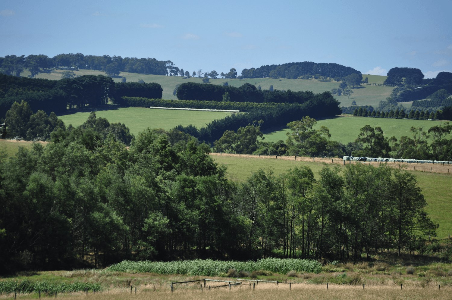 Successful Caravan Park in beautiful, country Leongatha.