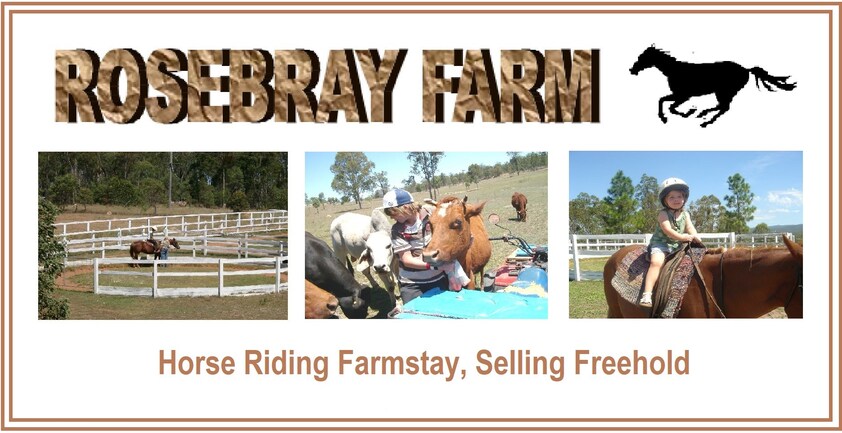 LOCKYER VALLEY HORSE RIDING FARMSTAY PROP FREEHOLD WITH EXCELLENT INFRASTRUCTURE