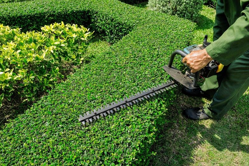 Hedge Trimming business with a strong clientele base.
