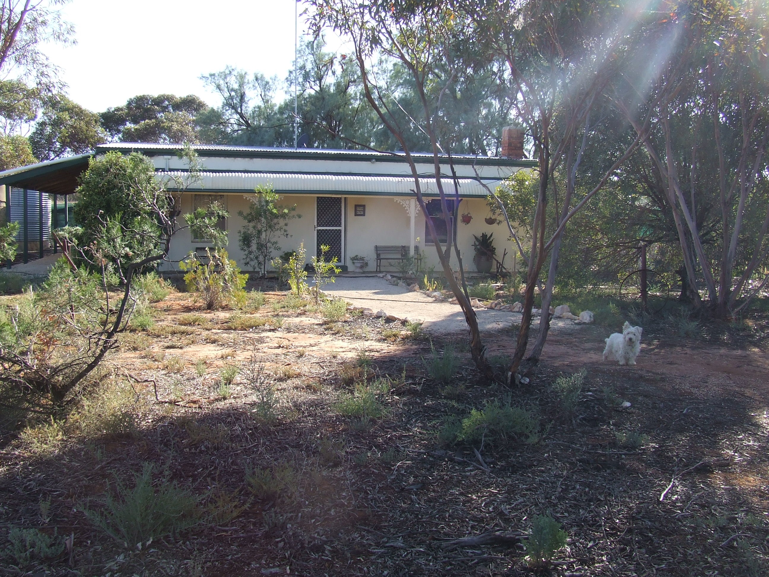 14 Mill Road Loxton SA 5333 House for Sold