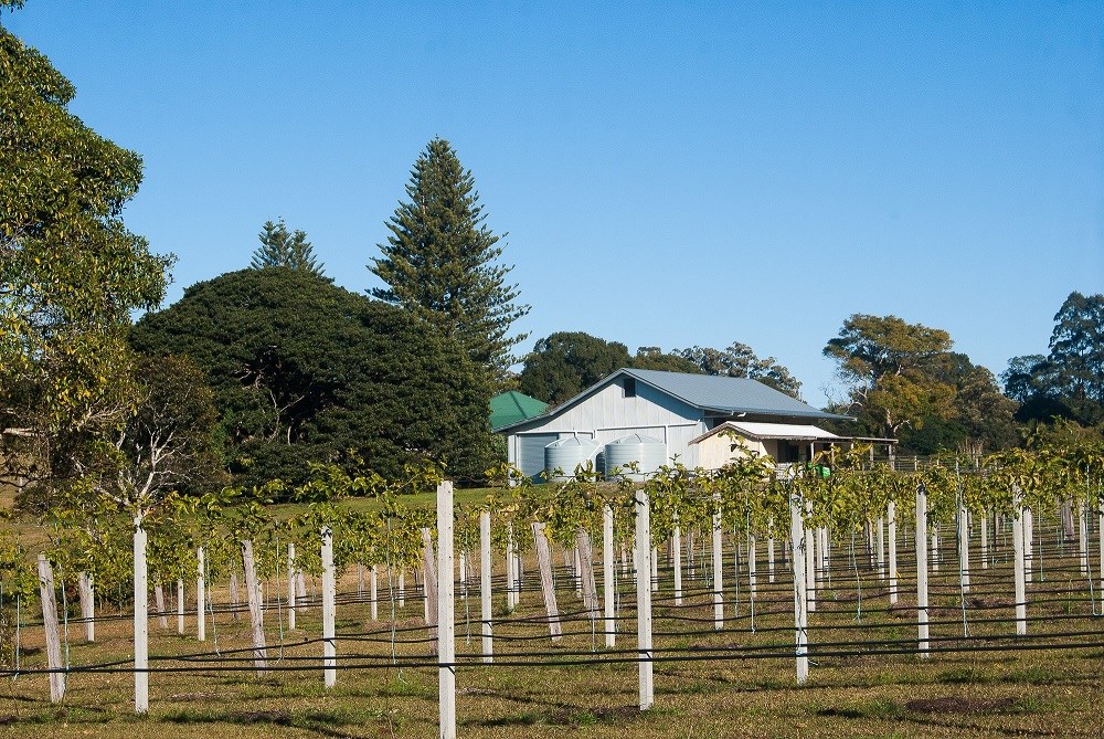 Dunoon NSW Lifestyle for Sold