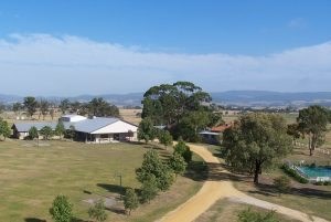 52 acres, great figures with 3 years forward bookings !!