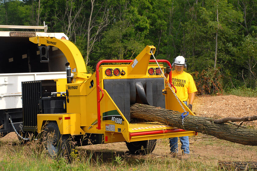 3 day a week tree and stump removal business