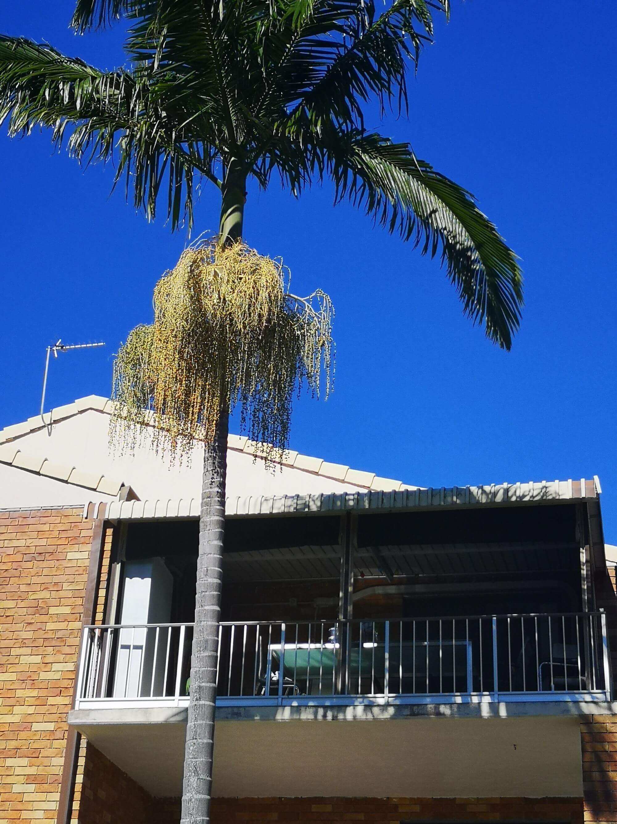 11/28 Hunter Avenue Labrador QLD 4215 Apartment for Sold