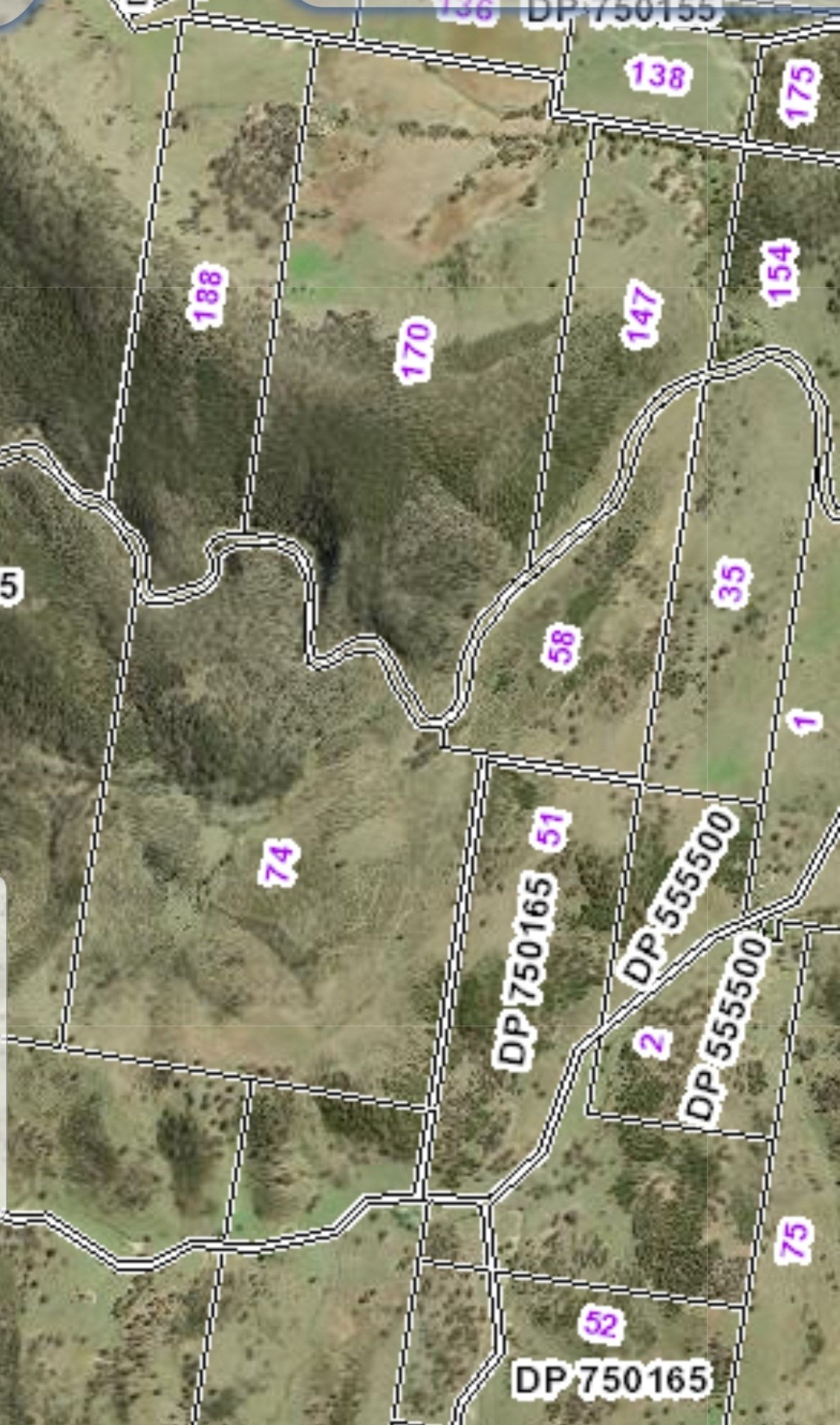 655 Monaghans Rd Manildra NSW 2865 Livestock for Sale