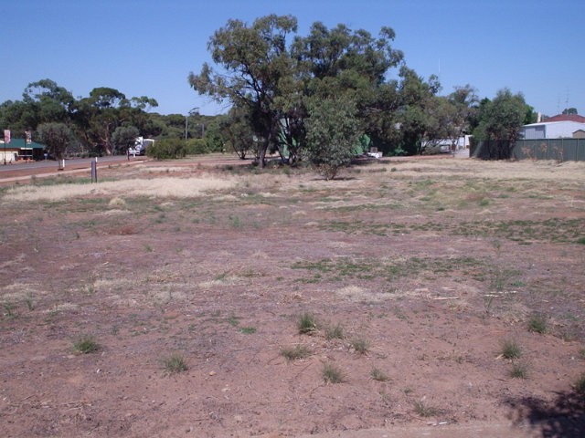 A prime Townsite corner block in Goomalling