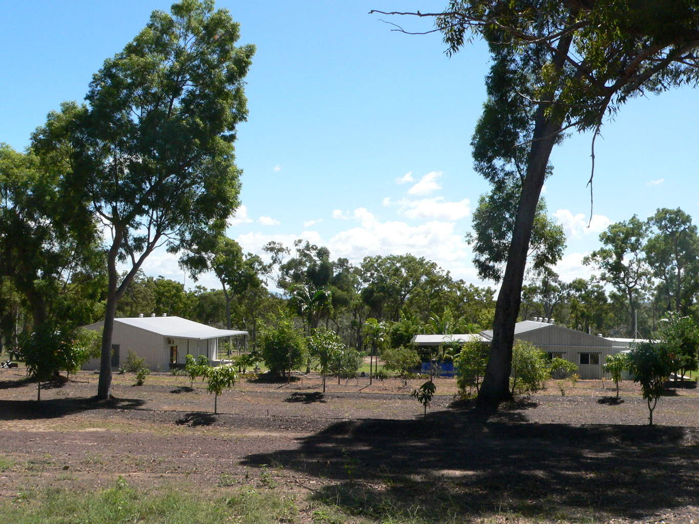 Deepwater QLD Acreage Semi rural for Sold