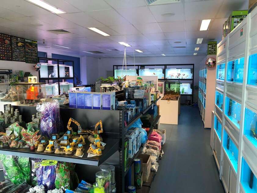 Looking for an aquarium business set up? Minimal risk & low set up cost.