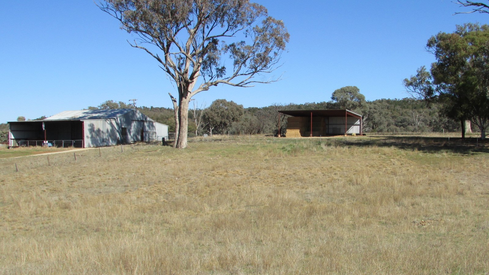 606 Peabody Road Molong NSW 2866 Mixed Farming for Sale