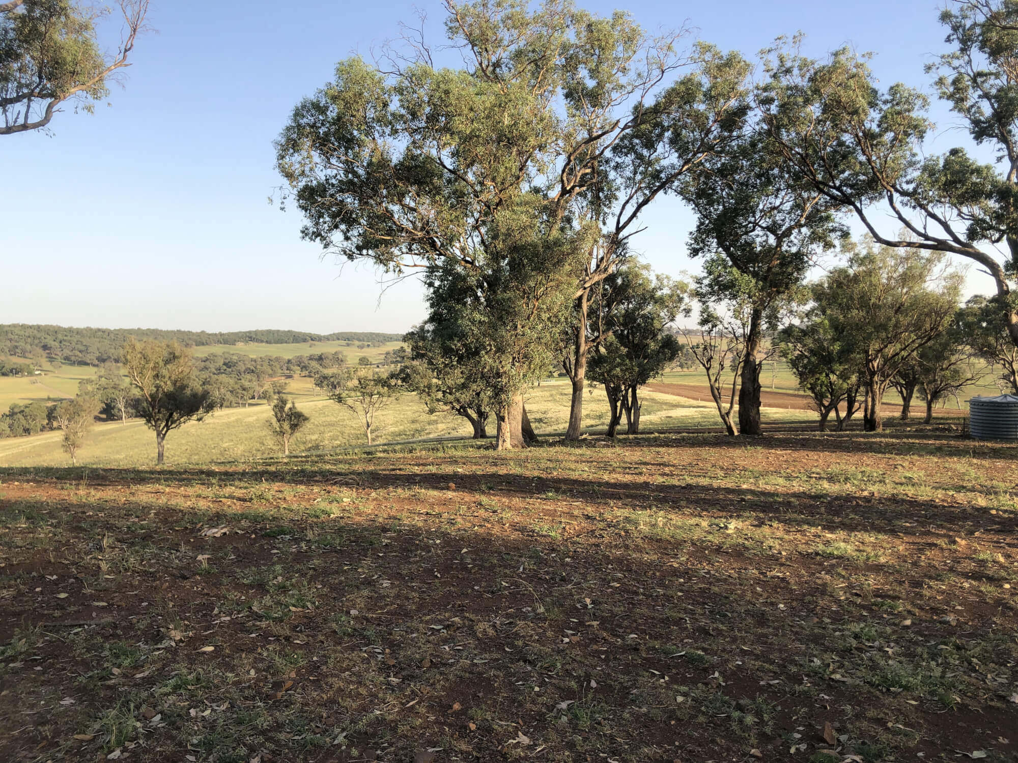 606 Peabody Road Molong NSW 2866 Mixed Farming for Sale