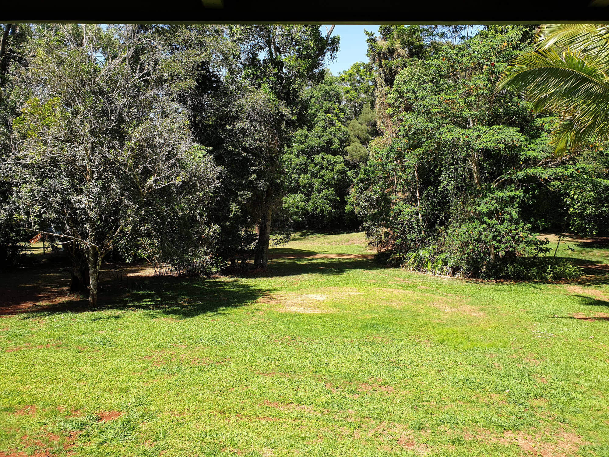 130 Quinlan road Yungaburra QLD 4884 House for Rent