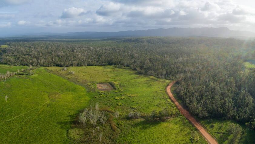 Rainforest Acreage FOR SALE. Newly Subdivided Only 10 BLOCKS (Now just 7 left). Last Freehold East Coast Blocks For Sale In North Queensland !