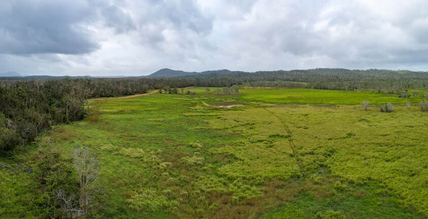 Rainforest Acreage FOR SALE. Newly Subdivided Only 10 BLOCKS (Now just 7 left). Last Freehold East Coast Blocks For Sale In North Queensland !