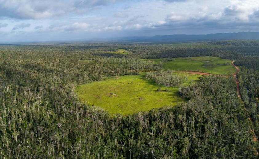 Rainforest Acreage FOR SALE. Newly Subdivided Only 10 BLOCKS (Now just 7 left). Last Freehold East Coast Blocks For Sale In North Queensland !