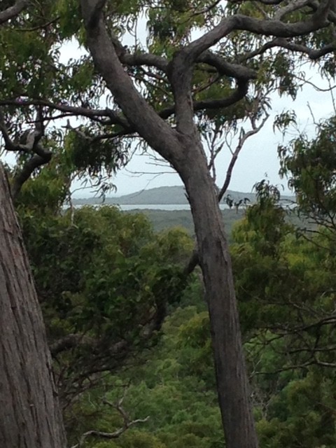 Rainforest Acreage FOR SALE. Newly Subdivided Only 10 BLOCKS (Now just 7 left). Last Freehold East Coast Blocks For Sale In North Queensland !